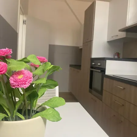 Homey I Palazzo Venezian Appartement